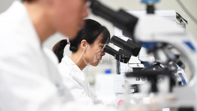 生物科技产品分类解析：探索多样化的应用场景