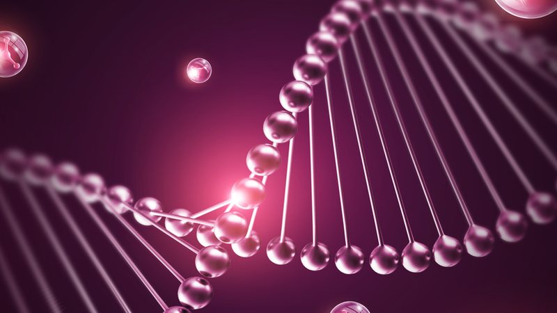 CDMO价格对比：揭秘选择最经济的考量因素