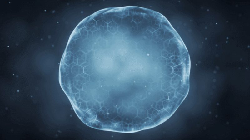 生物医药外包实验室资质评估：关键要素与注意事项**