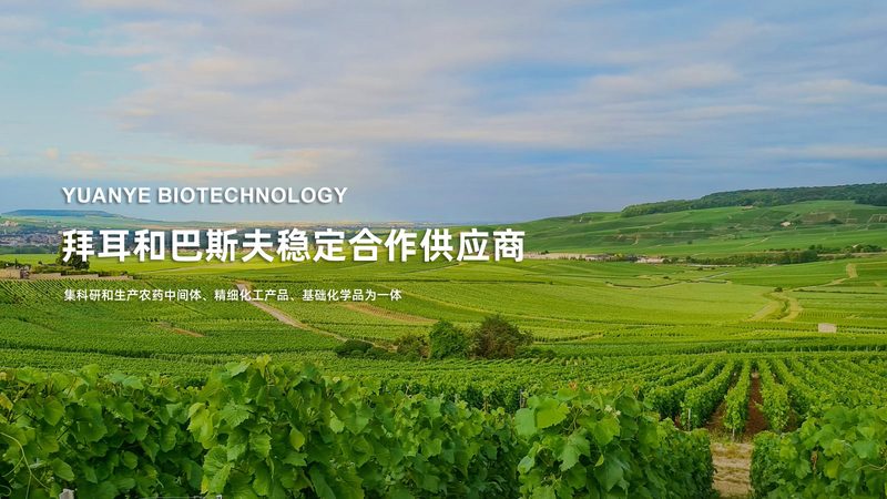 一次性报价单背后的生物试剂选购智慧