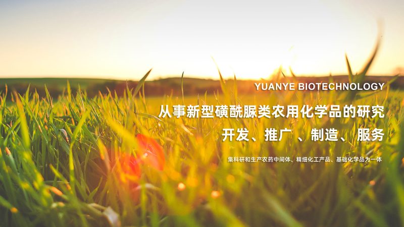 CDMO行业崛起：揭秘国内CDMO品牌排名背后的考量