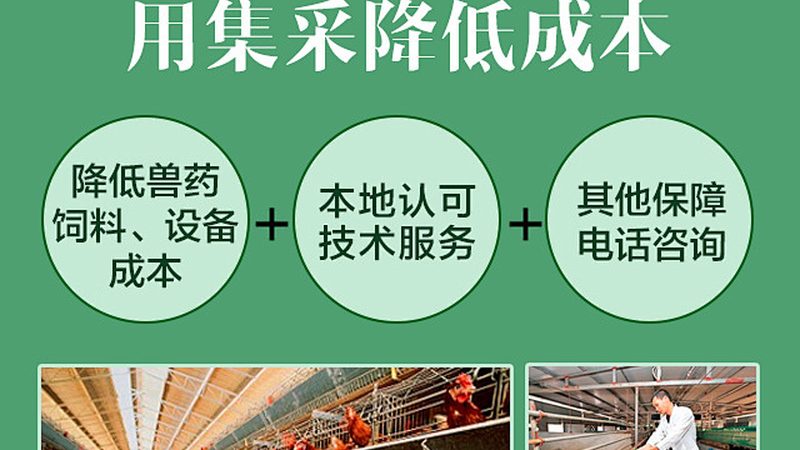 化学发光试剂：揭秘其优缺点与选型策略