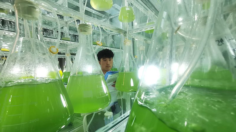 细胞工厂设备：规格参数背后的技术奥秘**